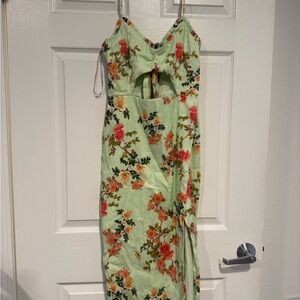 Lovers + Friends Mint Floral Backless Dress